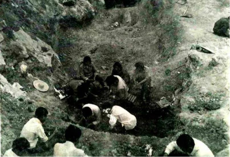 Nông dân đào đất tìm được đôi đũa kỳ lạ, chuyên gia lấy 3 tem phiếu để mua, không ngờ giá trị hàng tỷ đồng