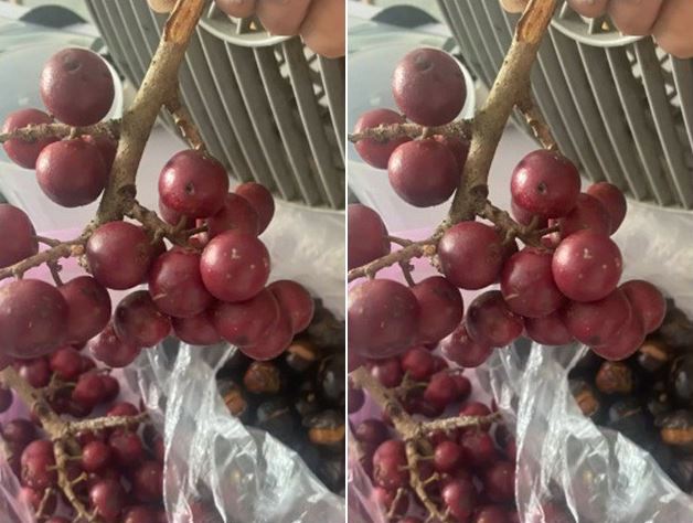 Loại quả có tên rất lạ, xưa không ai biết đến, nay thành đặc sản mùa hè dân thành phố 'săn lùng', 40.000 đồng/kg