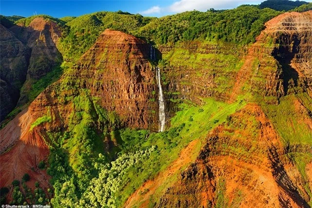Nằm ở phía Tây của Kauai, hẻm núi Waimea được coi là lớn nhất khu vực Thái Bình Dương và là một trong những điểm du lịch có màu sắc sặc sỡ nhất. Hẻm núi dài 16 km, rộng 1,6 km và sâu 1,1 km.