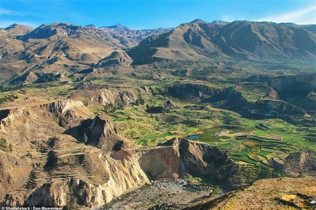 Hẻm núi Colca của Peru là một trong những điểm tham quan được ghé thăm nhiều nhất ở Peru. Đến với nơi đây, du khách không chỉ ngạc nhiên trước sự rộng lớn, hùng vĩ, mà còn ấn tượng với vùng đất nông nghiệp bậc thang trên các sườn núi và động vật hoang dã kỳ lạ, bao gồm lạc đà không bướu, báo và loài chim lớn nhất thế giới, loài Andean Condor.