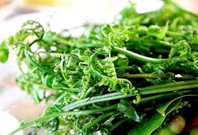 Được ví “rau trường sinh” là hàng hot của thương lái Trung Quốc, ít người biết đến để ăn, có giá 200.000 đồng/kg