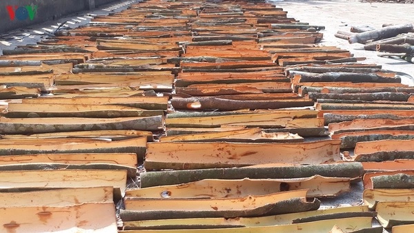 Đã lấy lại được 4 container hồ tiêu, quế, điều bị lừa đảo tại Dubai