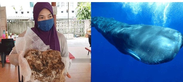 Người phụ nữ nhặt được vật thể trôi nghĩ là rác, hóa ra là loại hàng hóa khó mua nhất thế giới, giá 8,5 tỷ/kg