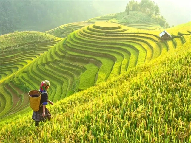 Báo Ấn Độ nói về "thiên đường hạ giới" ở Việt Nam: Hút hồn du khách bởi cảnh đẹp cả 4 mùa - Ảnh 1.