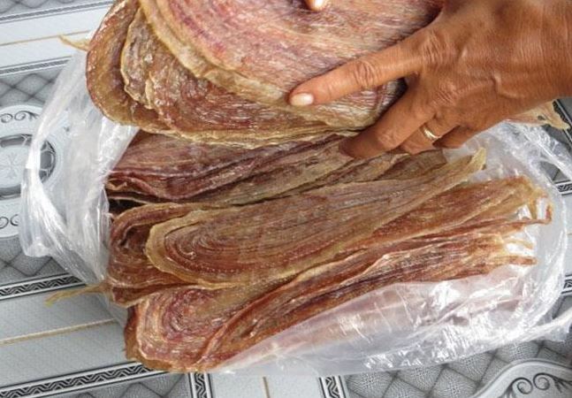 Con không chân ai gặp cũng sợ, khô của chúng lại là đặc sản nức tiếng 1 vùng, bán 500.000 đồng/kg