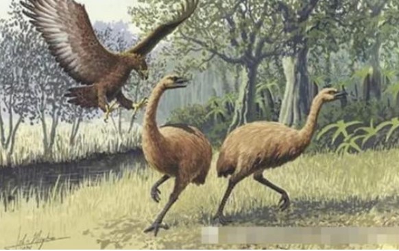 Các nhà khoa học đang cố gắng mang lại 9 loài động vật đã tuyệt chủng từ lâu, bạn biết không?