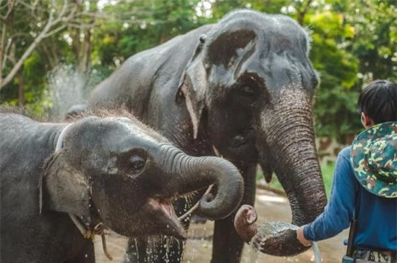 động vật, chuyện lạ, sinh học