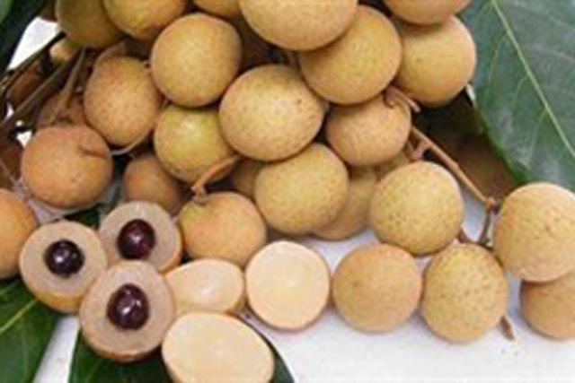 Muốn phân biệt nhãn Hưng Yên hay Trung Quốc cứ nhìn 3 điểm này là rõ ngay