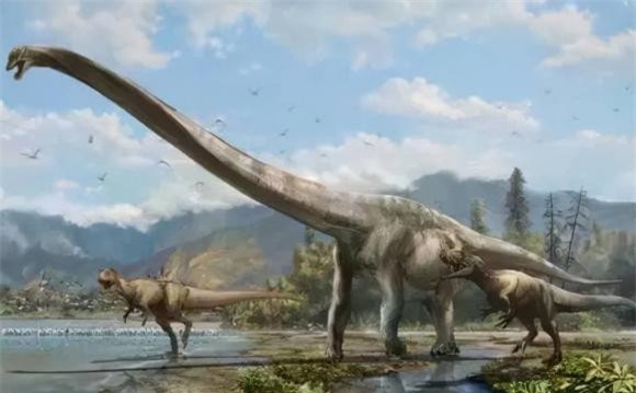 1-loai-dong-vat-co-co-dai-nhat-the-gioi-ngoisaovn-w942-h584 3 thế giới động vật, loài động vật có cổ cao nhất thế giới, động vật có cổ dài