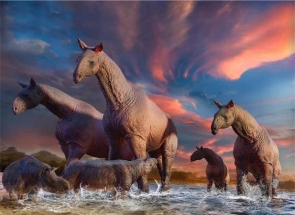 3-loai-dong-vat-co-co-dai-nhat-the-gioi-ngoisaovn-w740-h542 1 thế giới động vật, loài động vật có cổ cao nhất thế giới, động vật có cổ dài