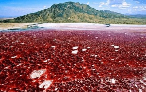'Hồ tử thần' trên lục địa châu Phi có thể trực tiếp vôi hóa động vật, màu sắc của hồ thay đổi theo mùa