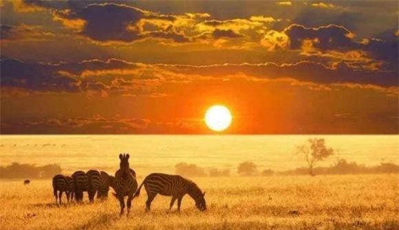 dong-duc (1).jpeg 0 giao phối, động dục, con người, động vật