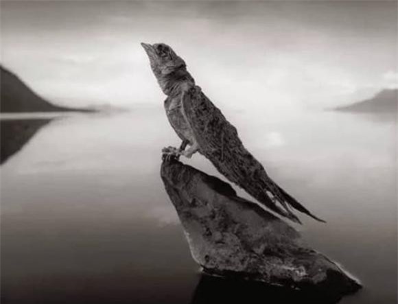 ho-tu-1.jpg 2 hồ tử thần, hồ Natron, châu phi