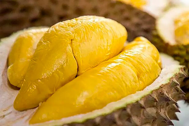 Cách khử mùi sầu riêng trong tủ lạnh