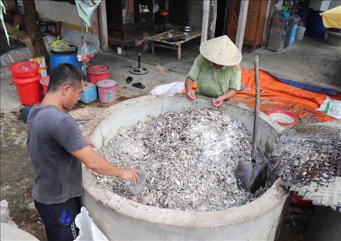 Đánh thức làng nghề nước mắm truyền thống ở xã bãi ngang Diễn Bích