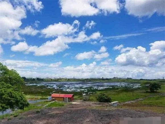 ho-nhua (1).jpeg 0 hồ nhựa đường, hồ kỳ lạ, hồ Pitch