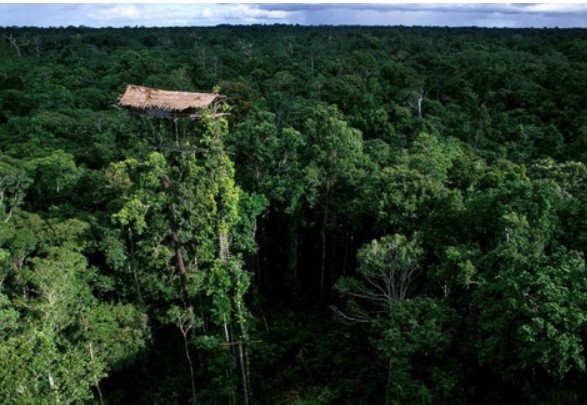 Cả làng sống trên cây vì sợ ma