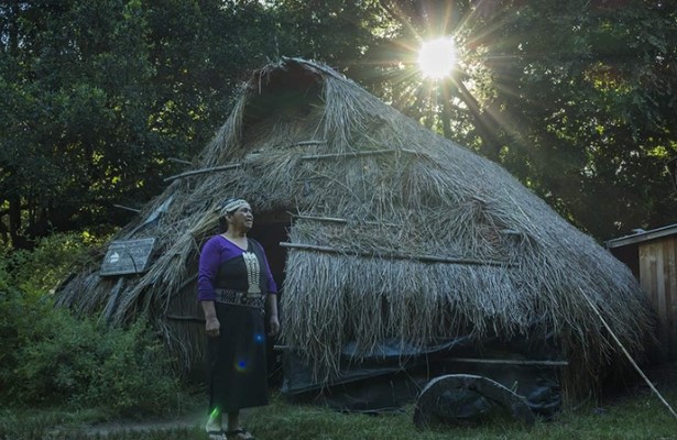 Người Mapuche - dân tộc thiểu số bản địa lớn nhất ở Chile