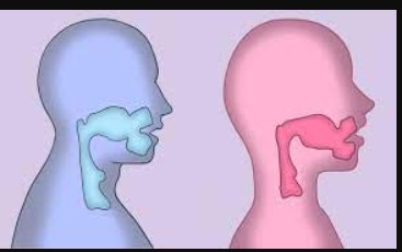 Tại sao phụ nữ và đàn ông có giọng nói khác nhau?