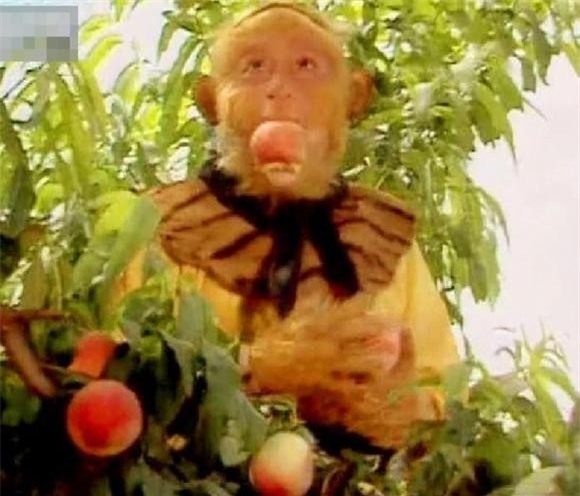 tây du ký, tôn ngộ không, yêu quái