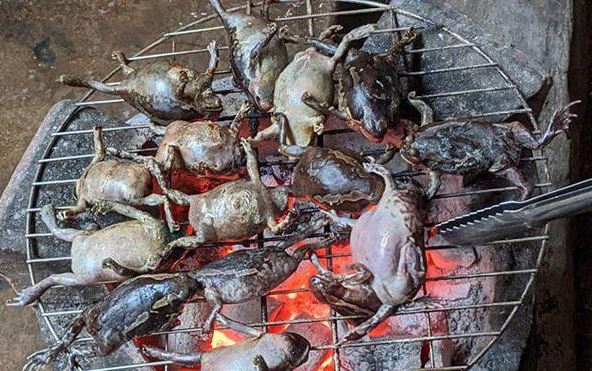 Con này bụng toàn trứng, là đặc sản tuyệt ngon ở Việt Nam và Thái Lan, giá 200.000 đồng/kg