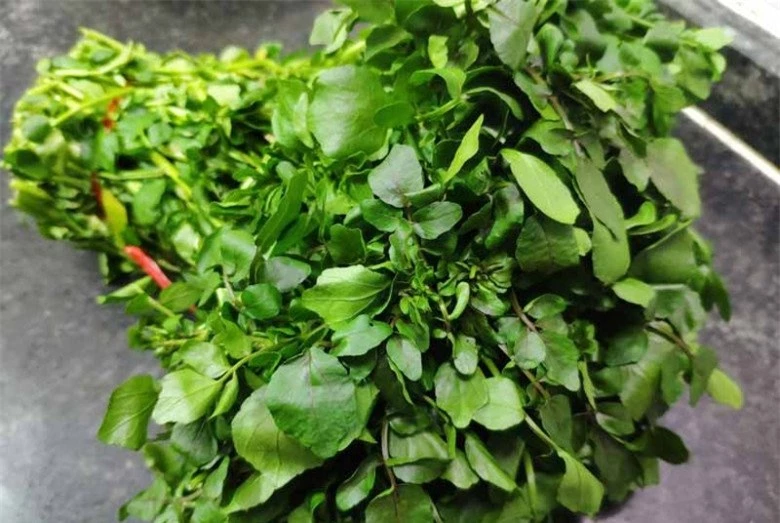 Loại rau tốt nhất thế giới ngừa được K, nước Mỹ chấm 10 điểm, có sẵn ở chợ Việt, 25.000đ/kg - 3