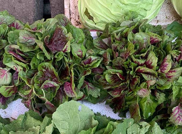 Lá này rất sẵn ở chợ Việt Nam, axit folic gấp 46 lần dưa chuột, bổ máu và tốt cho tim mạch