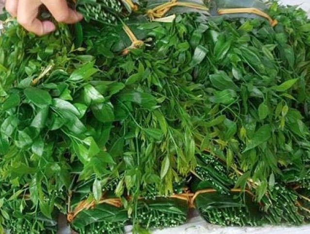 Lo&#x1EA1;i rau d&#x1EA1;i tr&#x1B0;&#x1EDB;c &#xED;t ng&#x1B0;&#x1EDD;i &#x103;n, gi&#x1EDD; th&#xE0;nh &#x111;&#x1EB7;c s&#x1EA3;n &#x111;&#x1B0;&#x1EE3;c s&#x103;n l&#xF9;ng kh&#x1EAF;p c&#xF5;i m&#x1EA1;ng, gi&#xE1; b&#xE1;n l&#xEA;n t&#x1EDB;i 300.000 &#x111;&#x1ED3;ng/kg