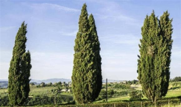 4-cau-noi-me-tin-cua-nguoi-xua-ngoisaovn-w1220-h722 2 phong thủy, mê tín, câu nói của người xưa