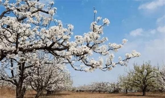 6-cau-noi-me-tin-cua-nguoi-xua-ngoisaovn-w1217-h723 1 phong thủy, mê tín, câu nói của người xưa