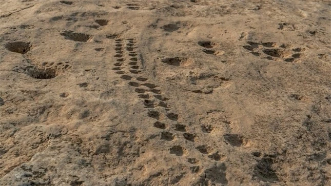 Những biểu tượng bí ẩn ở sa mạc Qatar ảnh 1