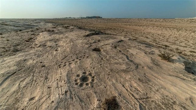 Những biểu tượng bí ẩn ở sa mạc Qatar ảnh 2