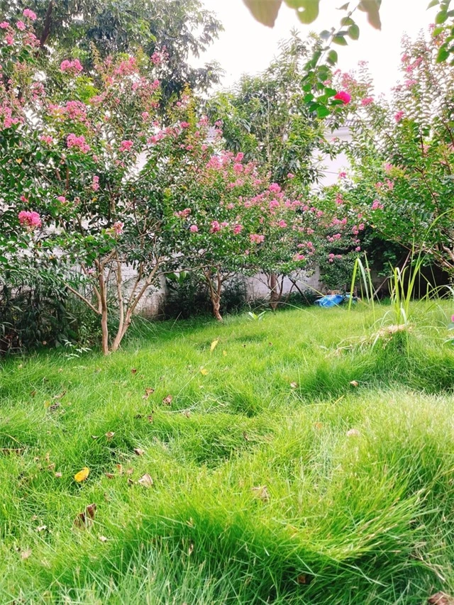Nam diễn viên phim Việt giờ vàng tặng nhà vườn cho bố mẹ dưỡng già: Rộng 900m2, có vườn hoa đẹp như công viên - Ảnh 9.