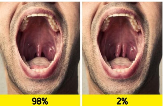 8 điều bí ẩn về cơ thể con người có thể bạn chưa bao giờ nghĩ đến