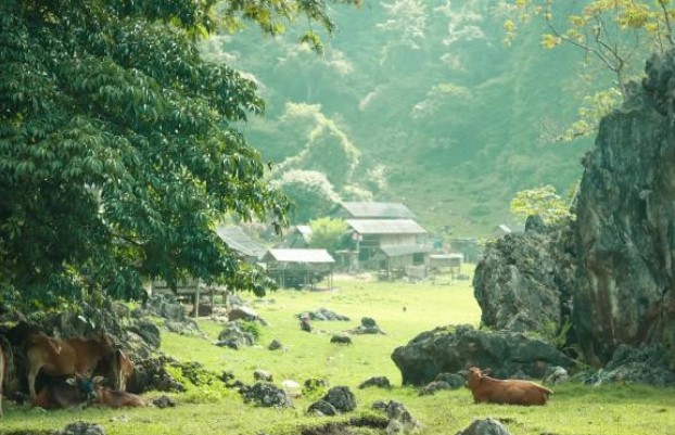 Hang Táu - nơi người H'Mông 'trốn thế giới bên ngoài' có gì đặc biệt mà giới trẻ đua nhau khám phá?