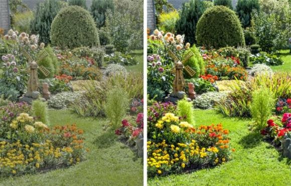 điều đặc biệt về cơ thể  7 bí ẩn, điều bí ẩn về cơ thể, cơ thể con người, kiến thức