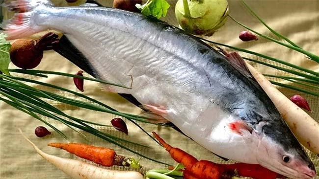 Loại cá "đại gia" giá 500.000 đồng/kg, rất ngon và hiếm, là đặc sản Nam Bộ - 7