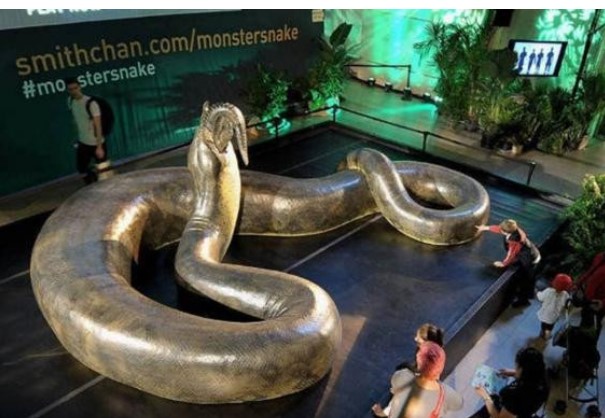 Một cơn “sốt cao” cách đây 55 triệu năm, trái đất đã tạo ra loài rắn lớn nhất trong sử sách: Trăn Titan!