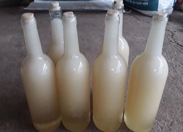 Loại mật ong có màu trắng lạ, giá lên tới 500.000 đồng/lít, là sản vật nổi tiếng 1 vùng