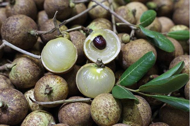 Cũng là nhãn nhưng lại có giá lên đến 200.000 đồng/kg, chị em đi chợ thấy thì nên mua ngay, đắt xắt ra miếng