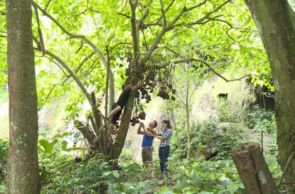 Khám phá, trải nghiệm vẻ đẹp thác Đẹn ở xã Thành Minh, Thạch Thành