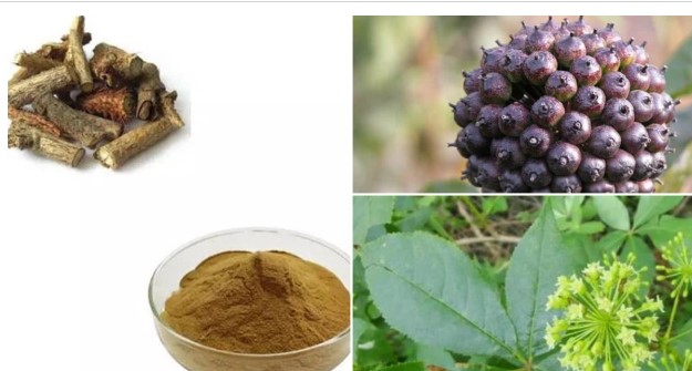 Loại cỏ dại mọc đầy trên núi: Hoa nở như kim cương, được ví như ‘nhân sâm’ không phải ai cũng biết