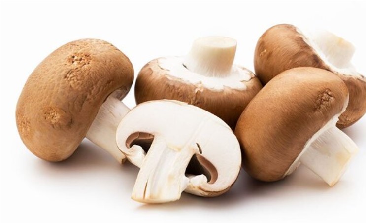 Tác dụng tuyệt vời của nấm mỡ đối với sức khỏe