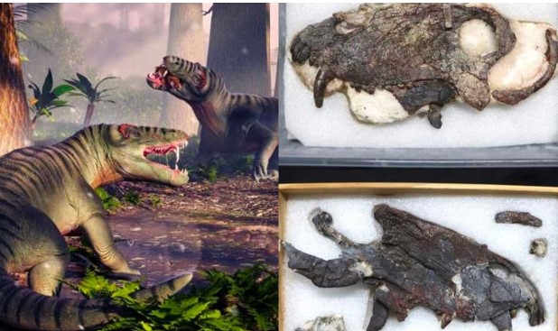 Hé lộ ‘rùng mình’ về quái thú cổ đại 265 triệu tuổi: Hình dạng kinh dị tột độ, sức mạnh công phá
