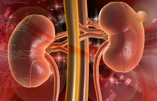 Khi thấy 3 bộ phận này "bốc mùi" khó chịu nghĩa là thận của bạn đang suy yếu, cần sớm đi khám trước khi ung thư phát triển