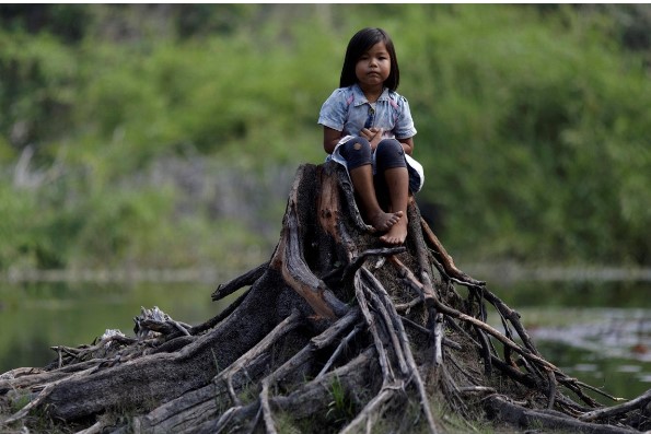 Các bộ tộc bản địa quyết tâm bảo vệ rừng Amazon