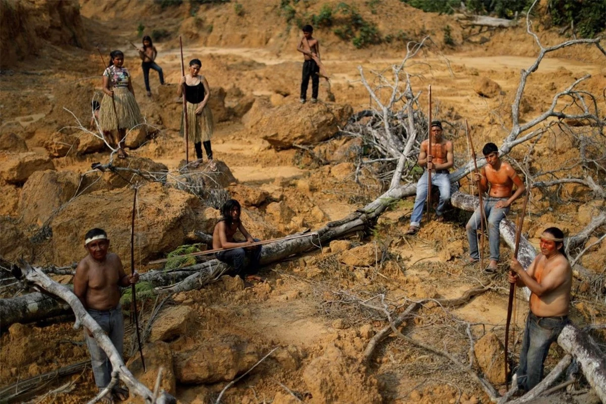 Hơn 18.000 thổ dân Mura sống tại Amazonas, bang có diện tích rừng Amazon lớn nhất Brazil. Các bộ tộc người bản địa thề sẽ sống chết để bảo vệ rừng thiêng. 