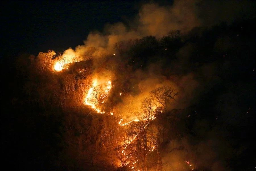 Những đám cháy phá hủy rừng Amazon