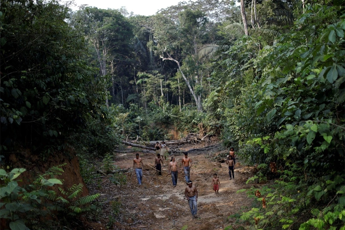 Những đám cháy trong rừng Amazon đã ảnh hưởng trực tiếp đến cuộc sống của những bộ tộc sinh sống trong rừng