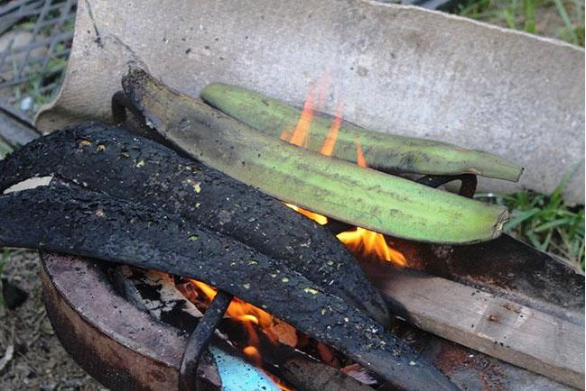 Quả này là đặc sản núi rừng Tây Bắc, ai đã thưởng thức một lần sẽ nhớ mãi không quên, giá 100.000 đồng/kg